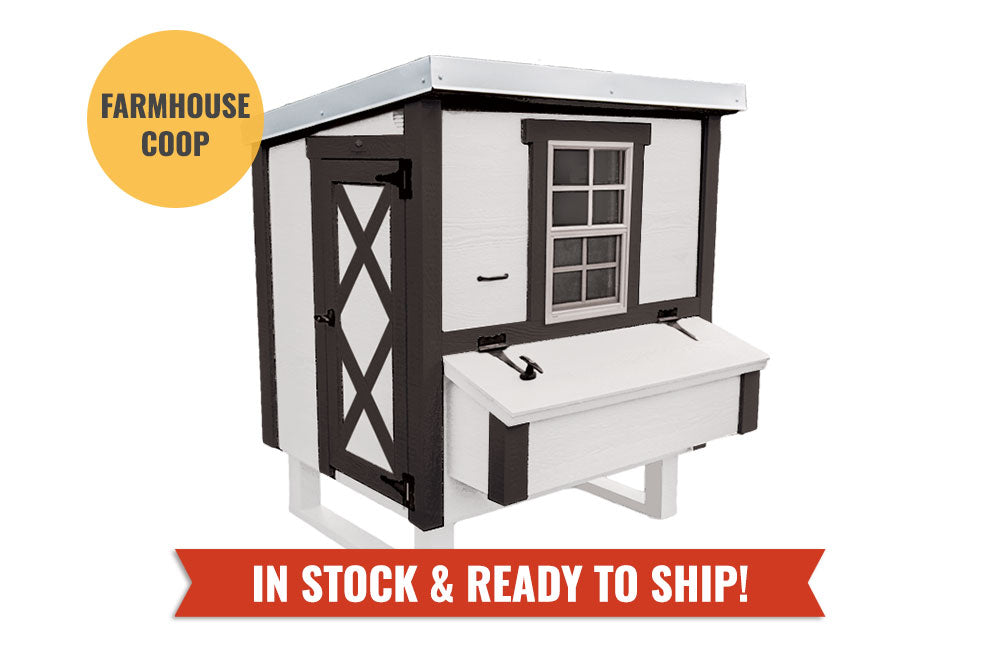 White farmhouse-style medium chicken coop, in stock and ready to ship