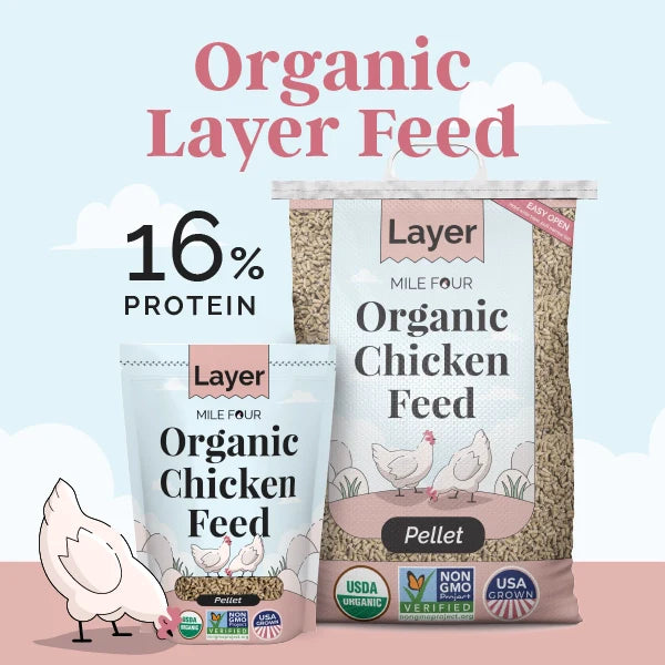 Layer Organic Chicken Feed