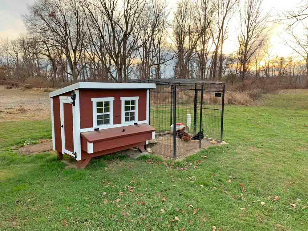 Red large chicken coop with white trim, connected to a walk-in run