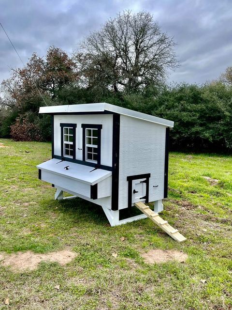 White farmhouse-style large chicken coop, set up in a backyard