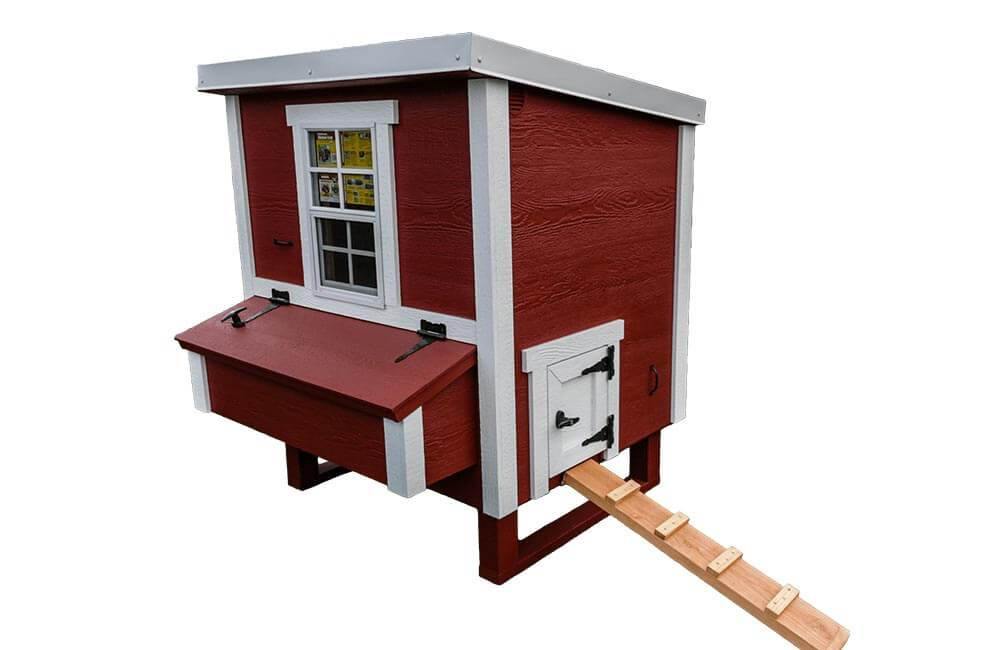 Red medium chicken coop with white trim, with pop door ramp