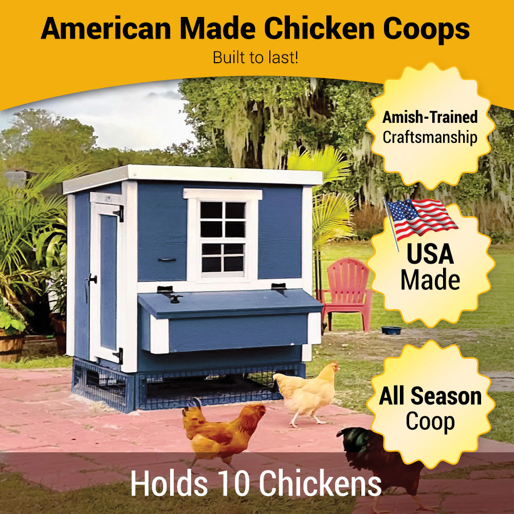 Blue medium chicken coop with white trim, American made, holds 10 chickens
