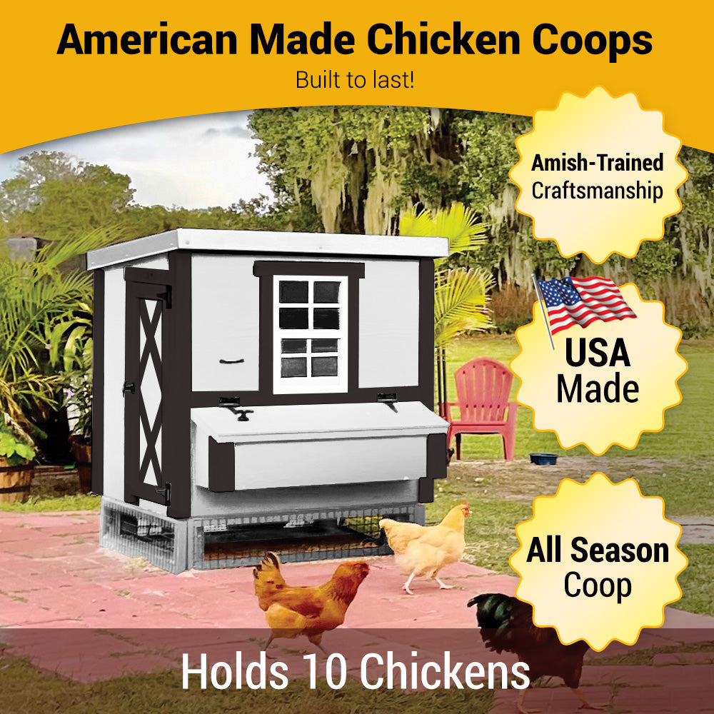 White farmhouse-style medium chicken coop, American made, holds 10 chickens