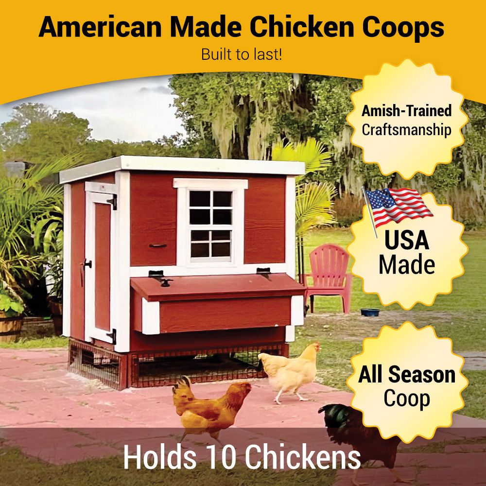 Red medium chicken coop with white trim, American made, holds 10 chickens