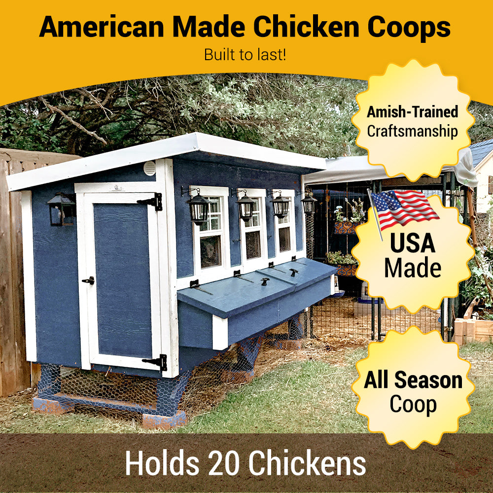 Blue XL chicken coop with white trim, American made, holds 20 chickens