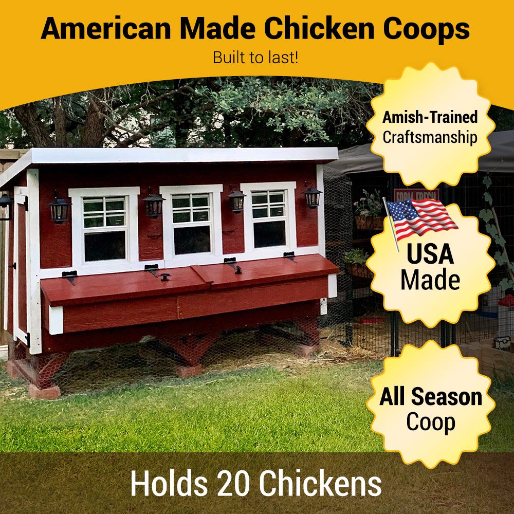 American-made XL chicken coop holds 20 chickens