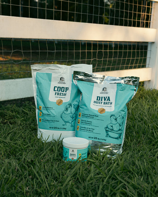 Healthy Betty Essentials Bundle