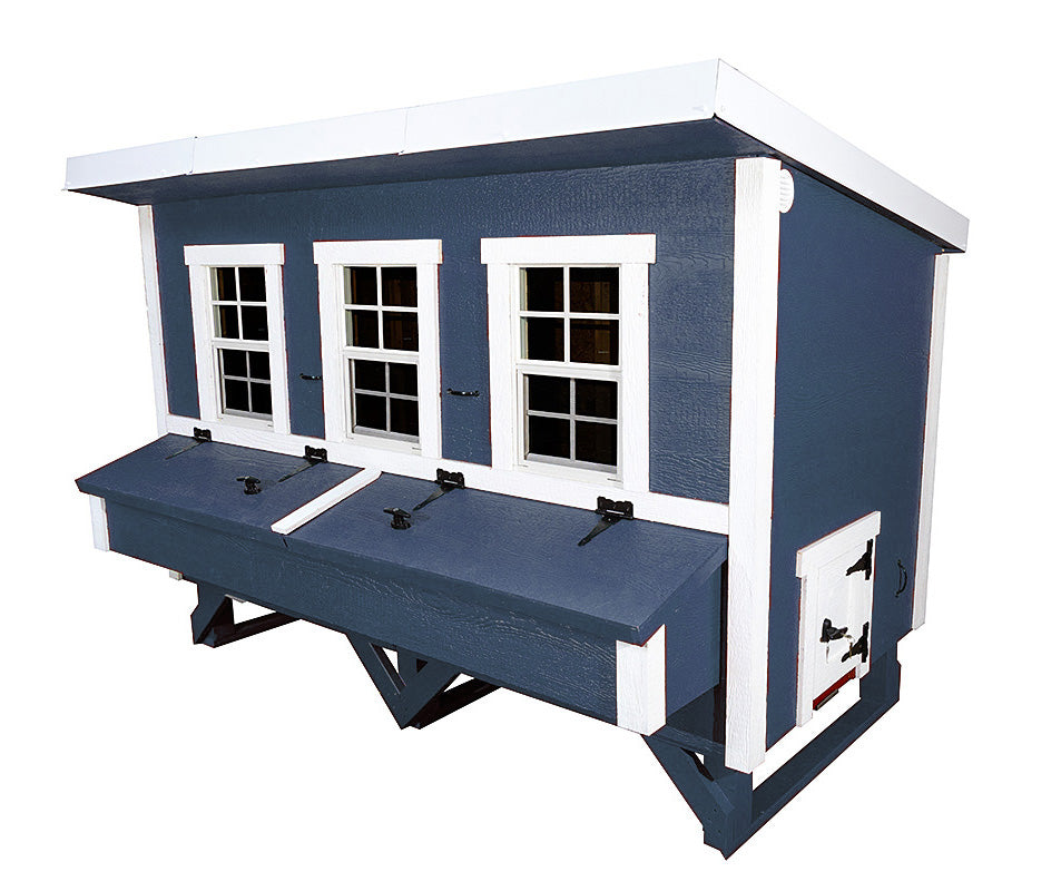 Blue XL chicken coop with white trim, angled view with nesting boxes