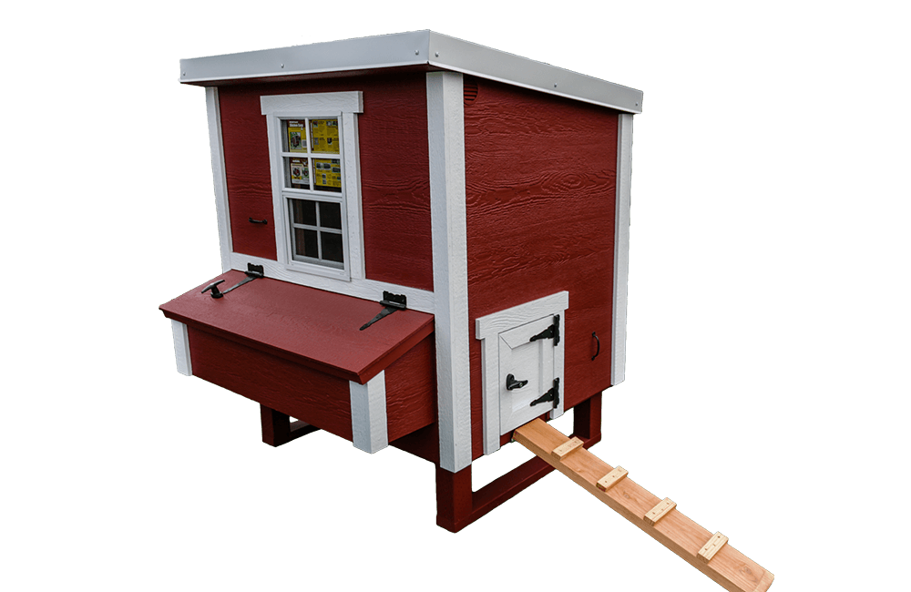Red medium chicken coop with white trim, with pop door ramp