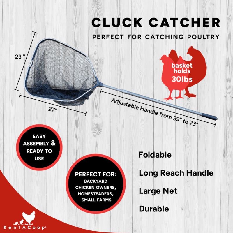 Cluck Catcher net dimensions, adjustable 39 to 73 inch handle, holds 30 lbs
