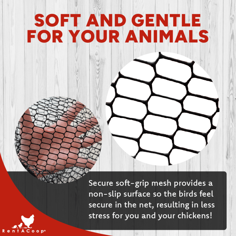 Soft-grip mesh netting on the Cluck Catcher poultry net