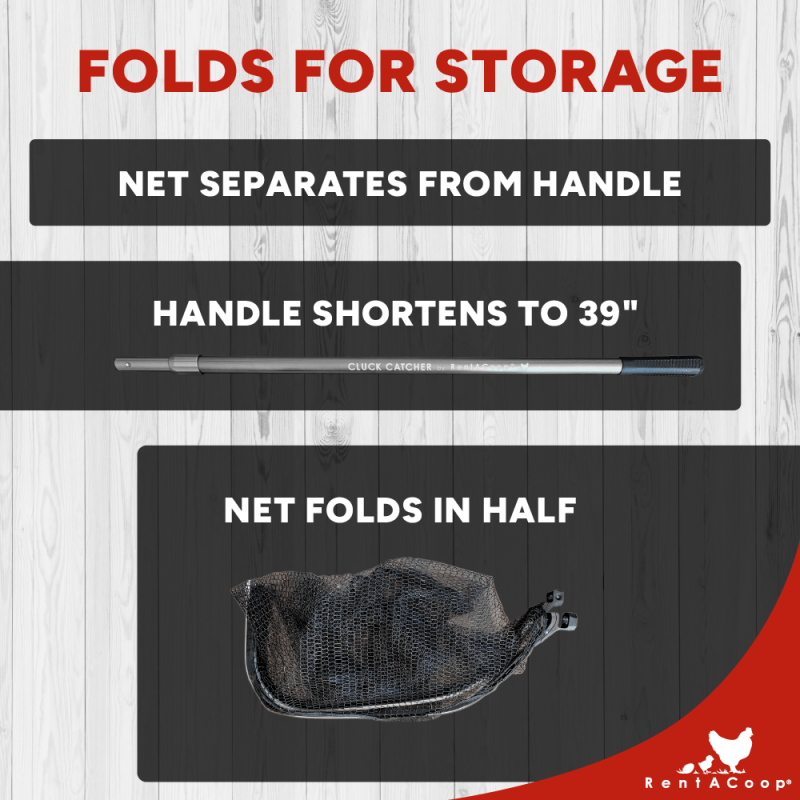 Cluck Catcher net folds in half and handle shortens for storage