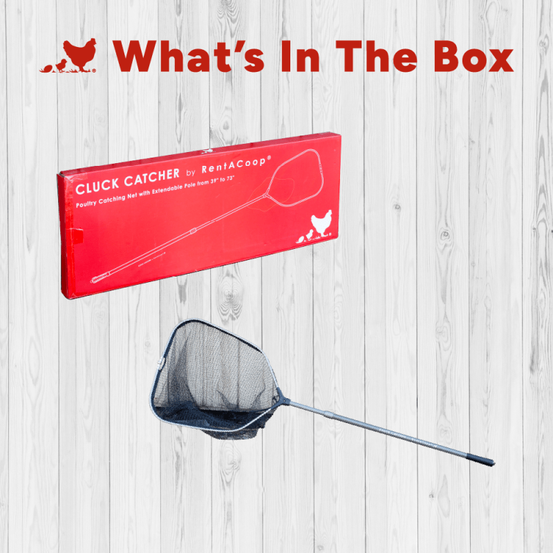 Cluck Catcher chicken net and box contents