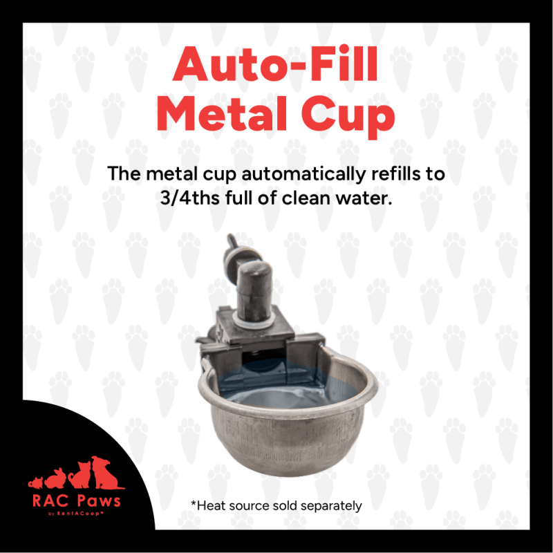 Auto-fill metal cup refills to three-quarters full of clean water