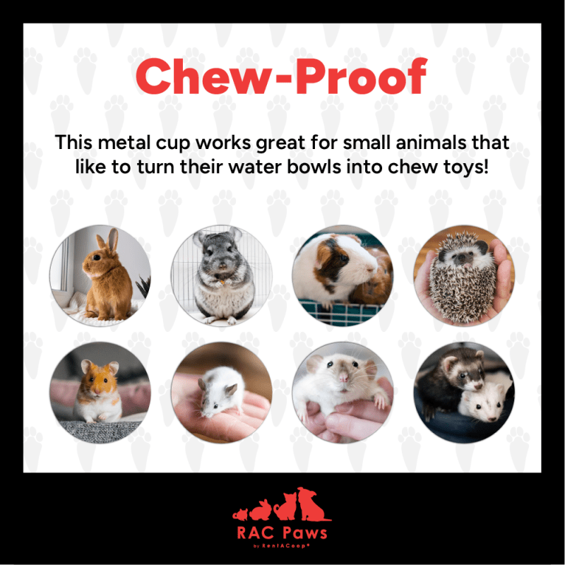 Chew-proof metal cup for rabbits, guinea pigs, hamsters and chinchillas