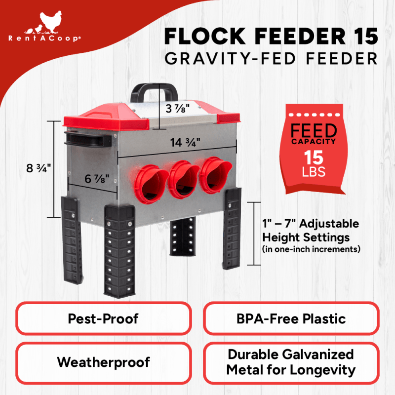 Flock Feeder 15 dimensions and adjustable 1 to 7 inch legs
