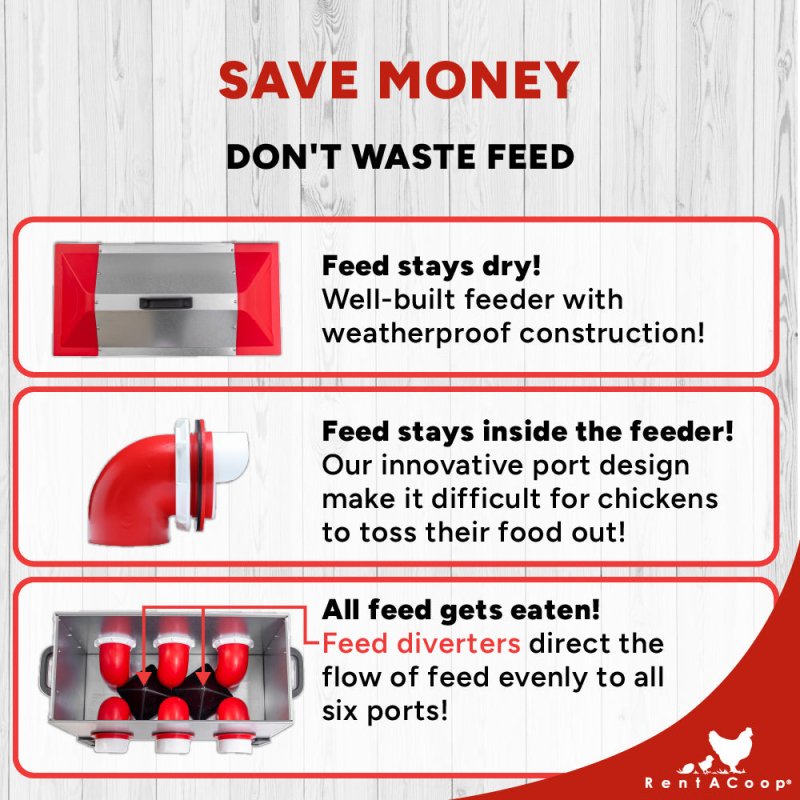 Flock Feeder 65 saves feed with weatherproof lid and anti-scatter ports