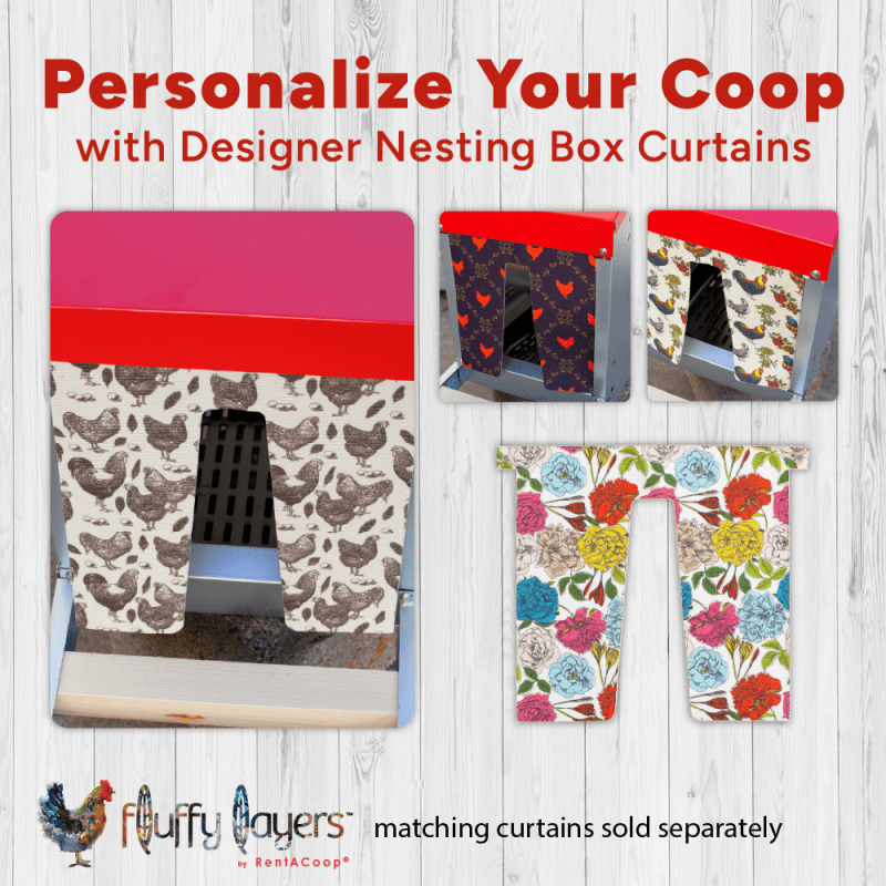 Designer nesting box curtain patterns for the efficiency nesting box