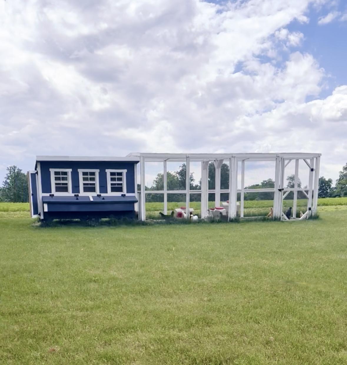 Blue XL chicken coop with white trim, connected to a walk-in run