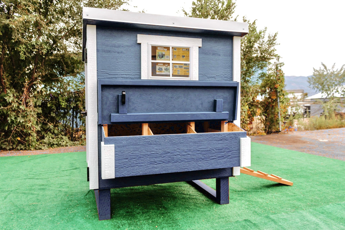 Blue medium chicken coop with white trim, with nesting box open