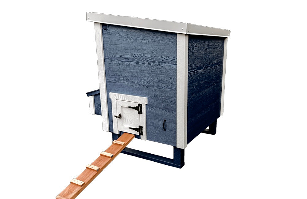 Blue medium chicken coop with white trim, with pop door ramp