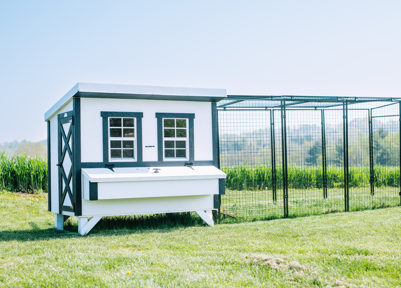 White farmhouse-style large chicken coop, connected to a walk-in run