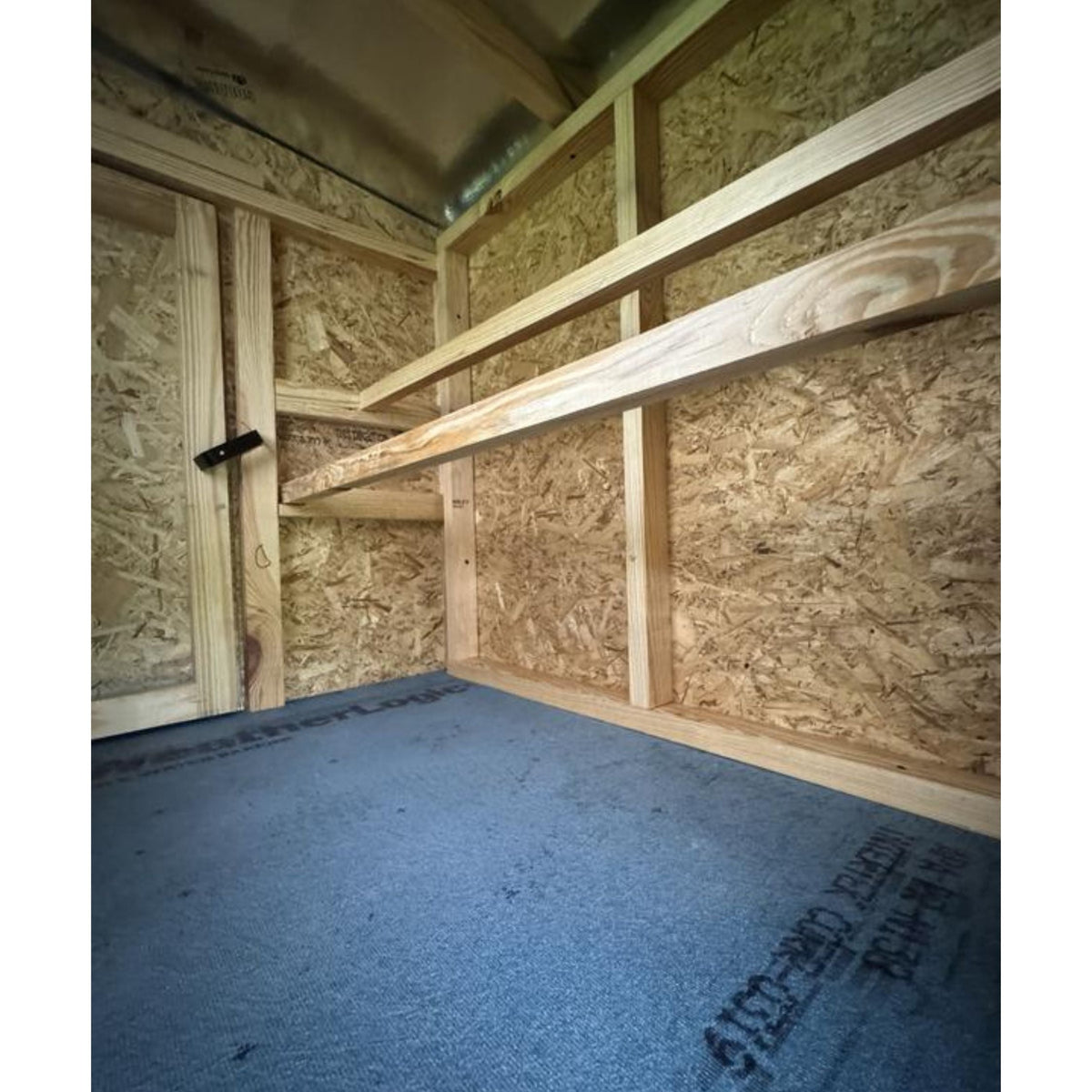 Inside the medium chicken coop with roost bars and windows