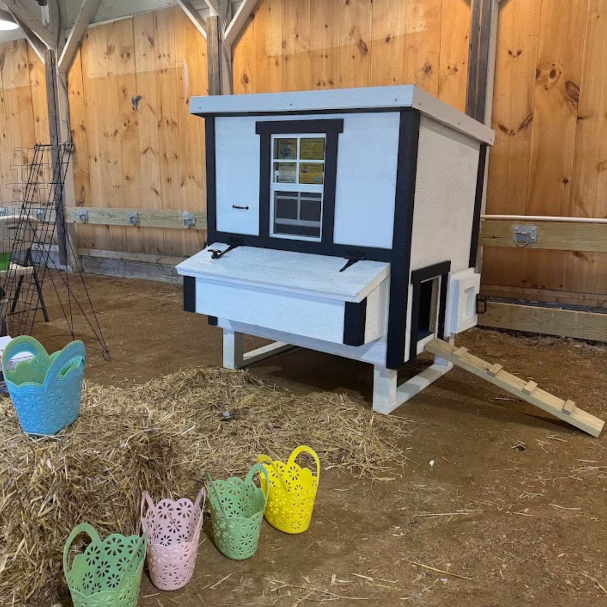Blue medium chicken coop with white trim, set up in a backyard