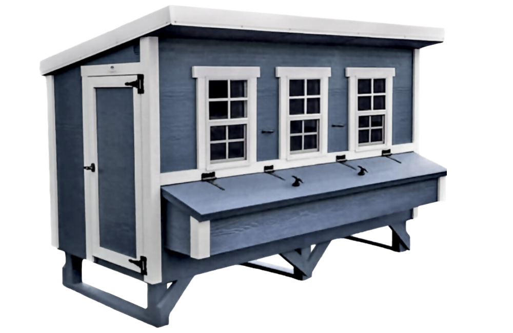 Blue XL chicken coop with white trim, front view with nesting boxes