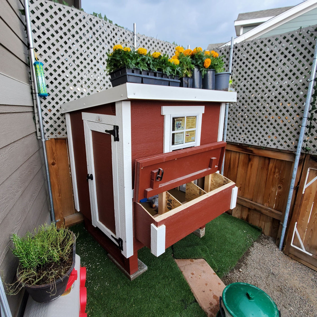 Red medium chicken coop with white trim, in a backyard garden