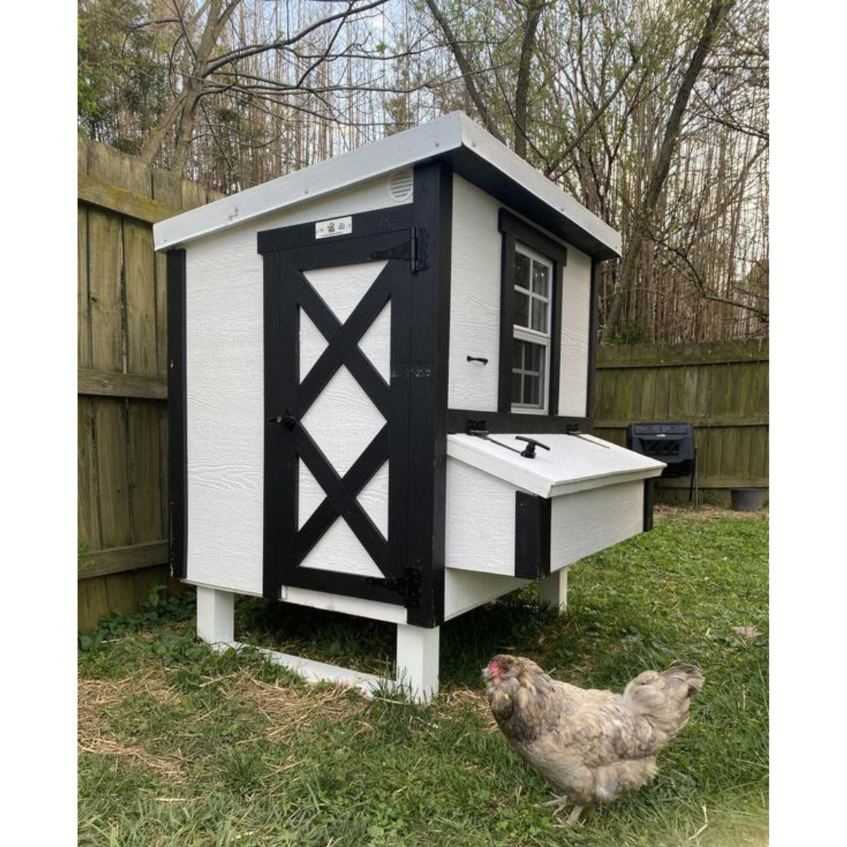 White farmhouse-style medium chicken coop, set up in a backyard