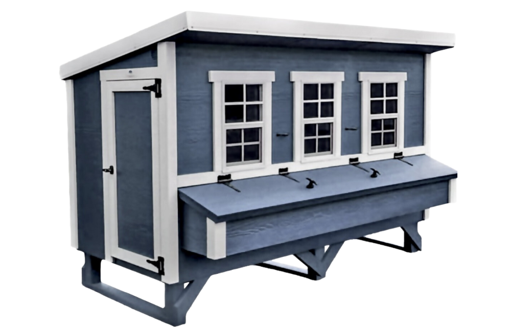 Blue XL chicken coop with white trim, front view with nesting boxes