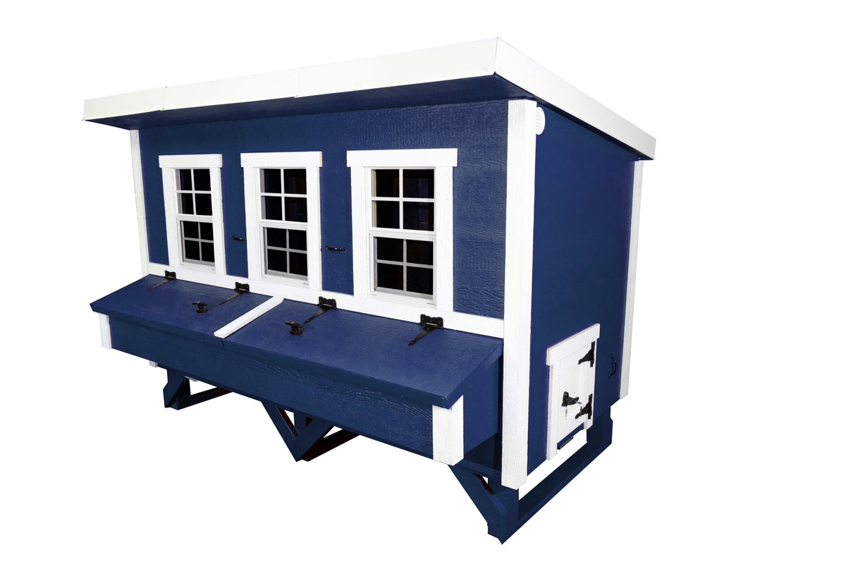 Blue XL chicken coop with white trim, angled view with nesting boxes