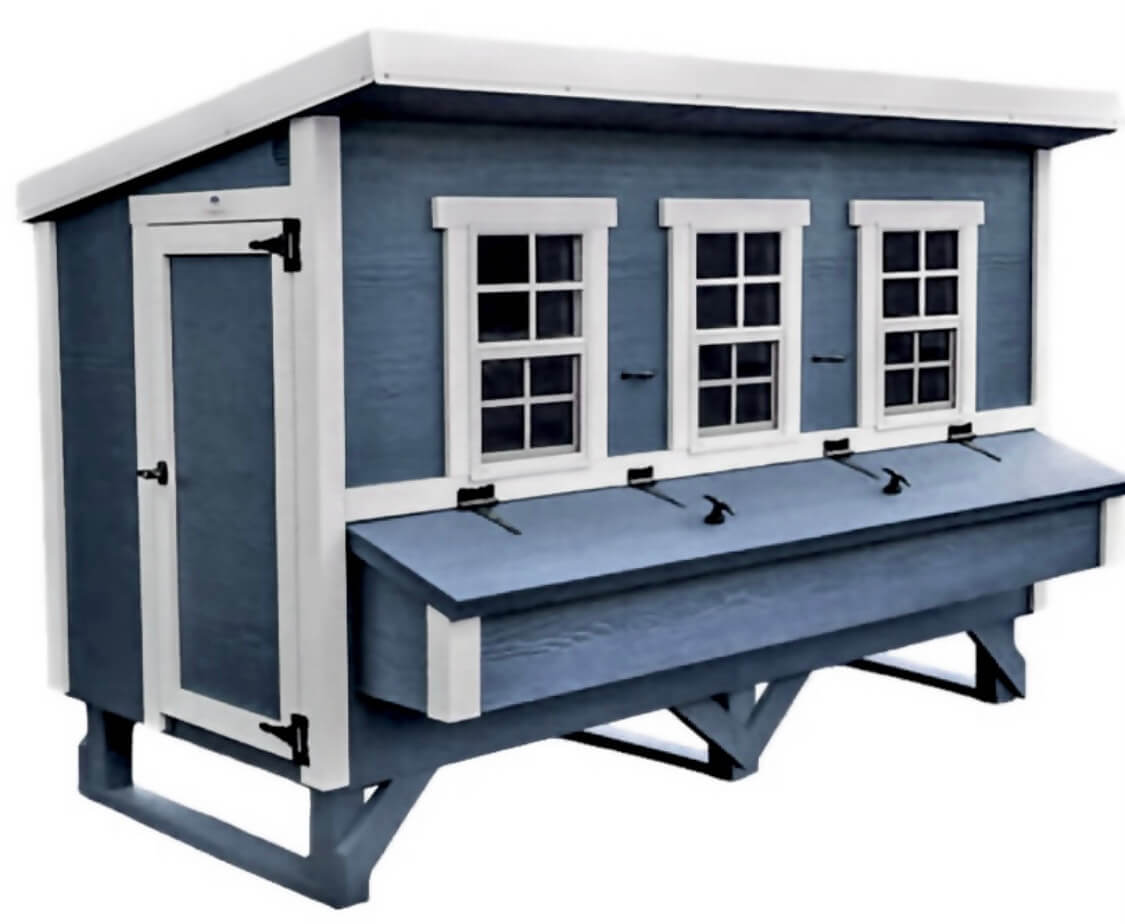 Blue XL chicken coop with white trim, front view with nesting boxes