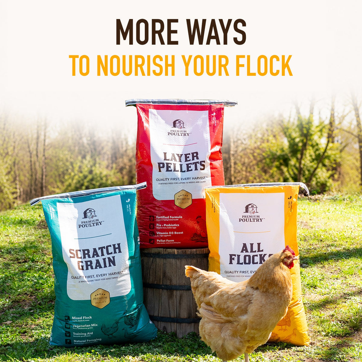 All Flocks Poultry Feed