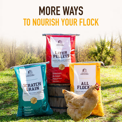 All Flocks Poultry Feed