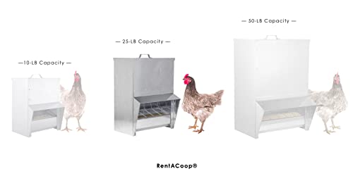 RentACoop Galvanized Chicken Tough Feeder - 25lb