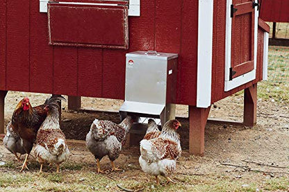 RentACoop Galvanized Chicken Tough Feeder - 25lb
