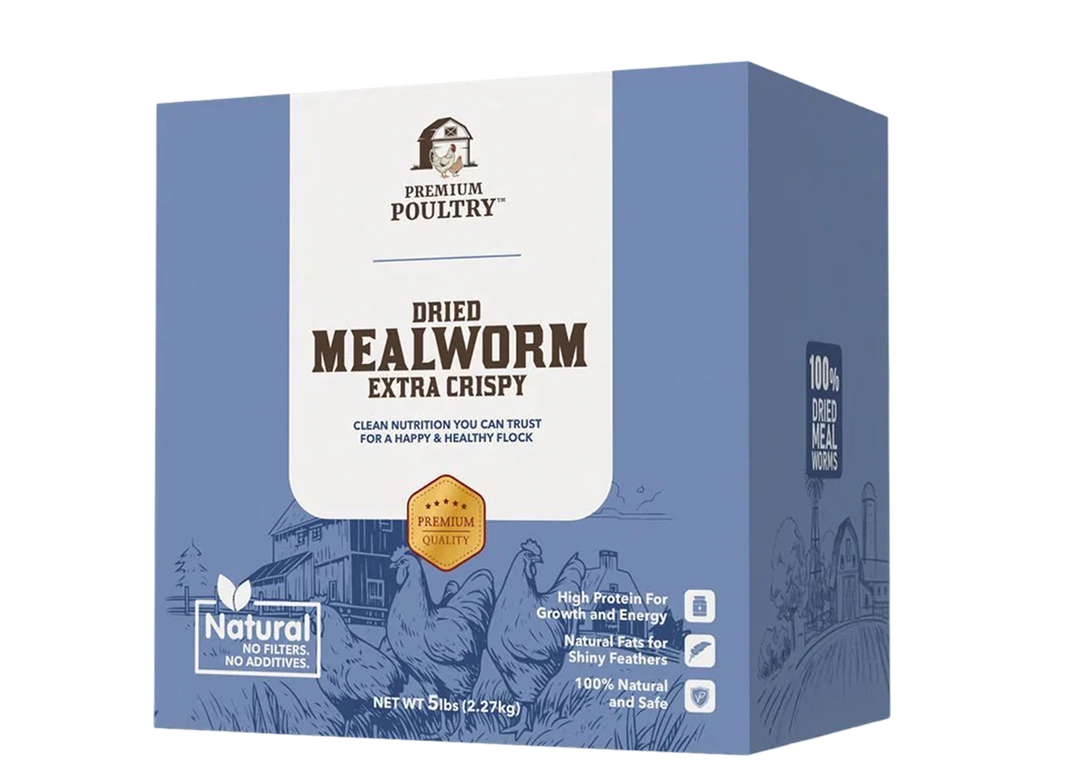 Dried Mealworms