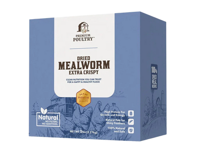 Dried Mealworms