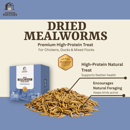 Protein & Calcium Bundle 2