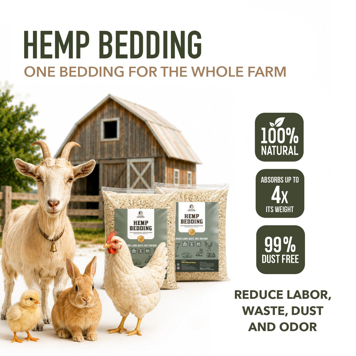 American Hemp Stock Up Bundle