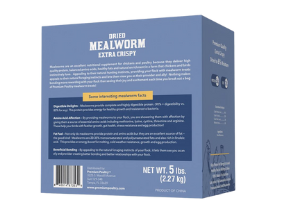 Dried Mealworms