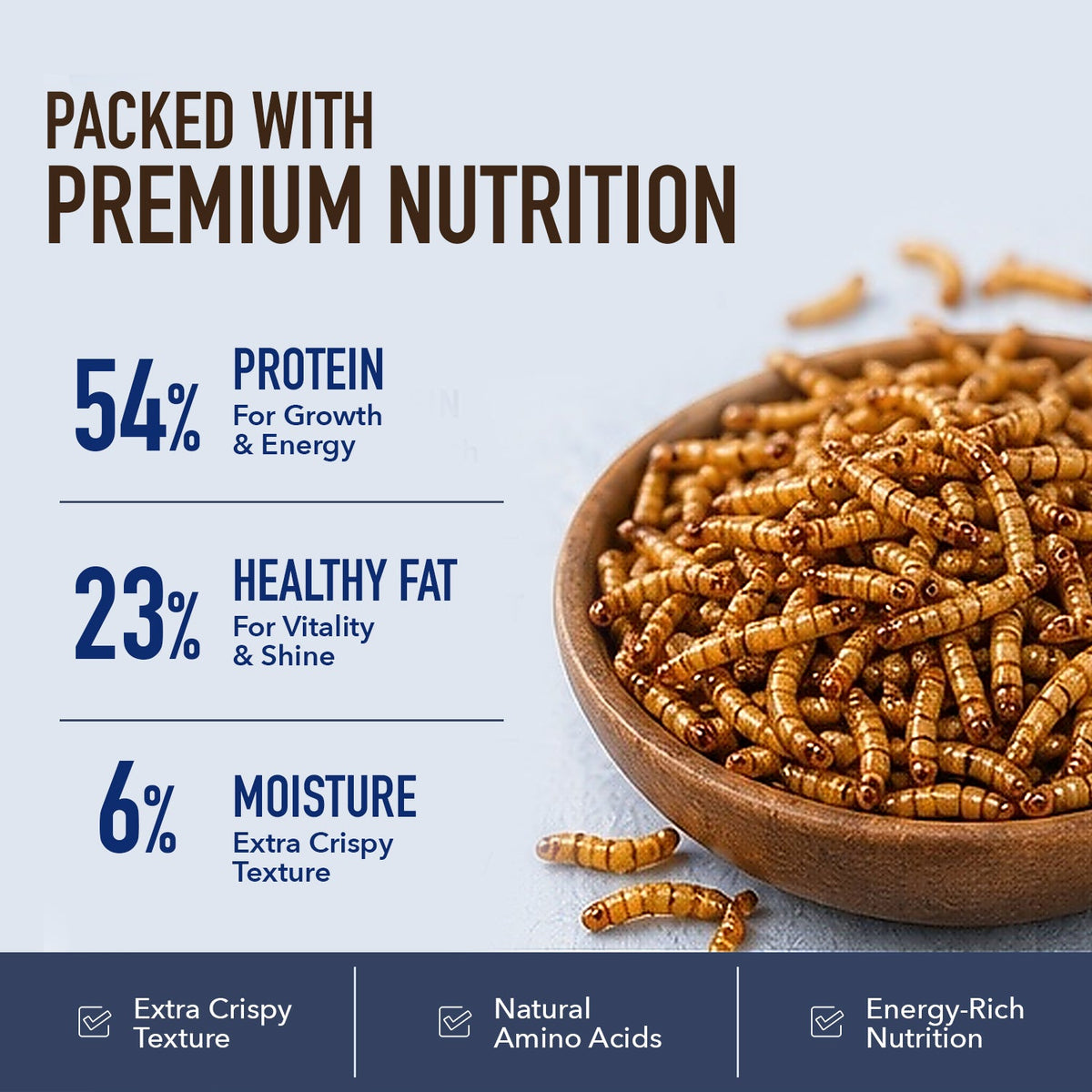 Dried Mealworms