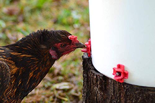 Make Your Own Chicken Waterer Kit - Horizontal Chicken Nipples 6-Pack + Installation Piece