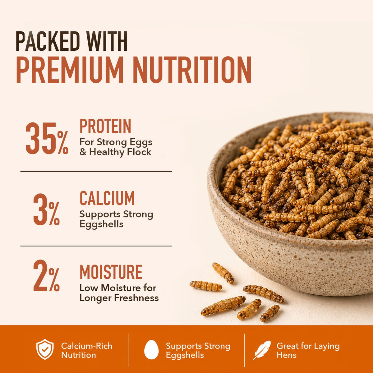 Dried Black Soldier Fly Larvae
