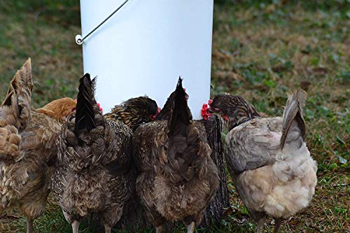 Make Your Own Chicken Waterer Kit - Horizontal Chicken Nipples 6-Pack + Installation Piece
