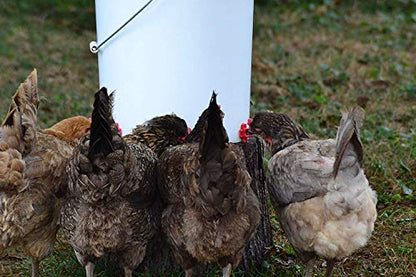 Make Your Own Chicken Waterer Kit - Horizontal Chicken Nipples 6-Pack + Installation Piece