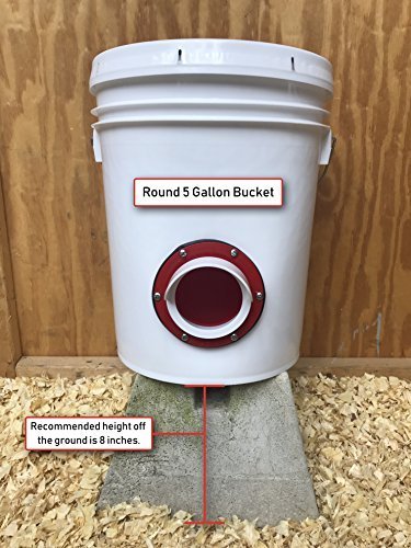 RentACoop DIY Chicken Feeder 6 + Hole Saw