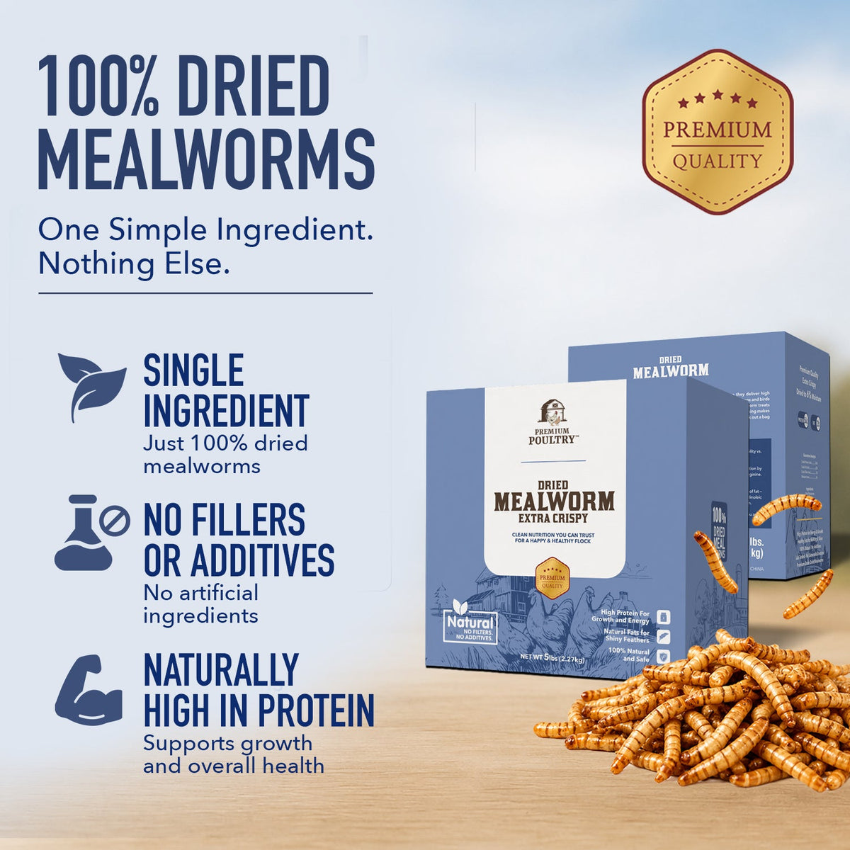 Dried Mealworms